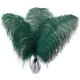 thumbnail image 1 of Plumas de Avestruz Larryhot Verdes de 16-18" Paquete de 10 para Manualidades y Decoración, 1 of 6