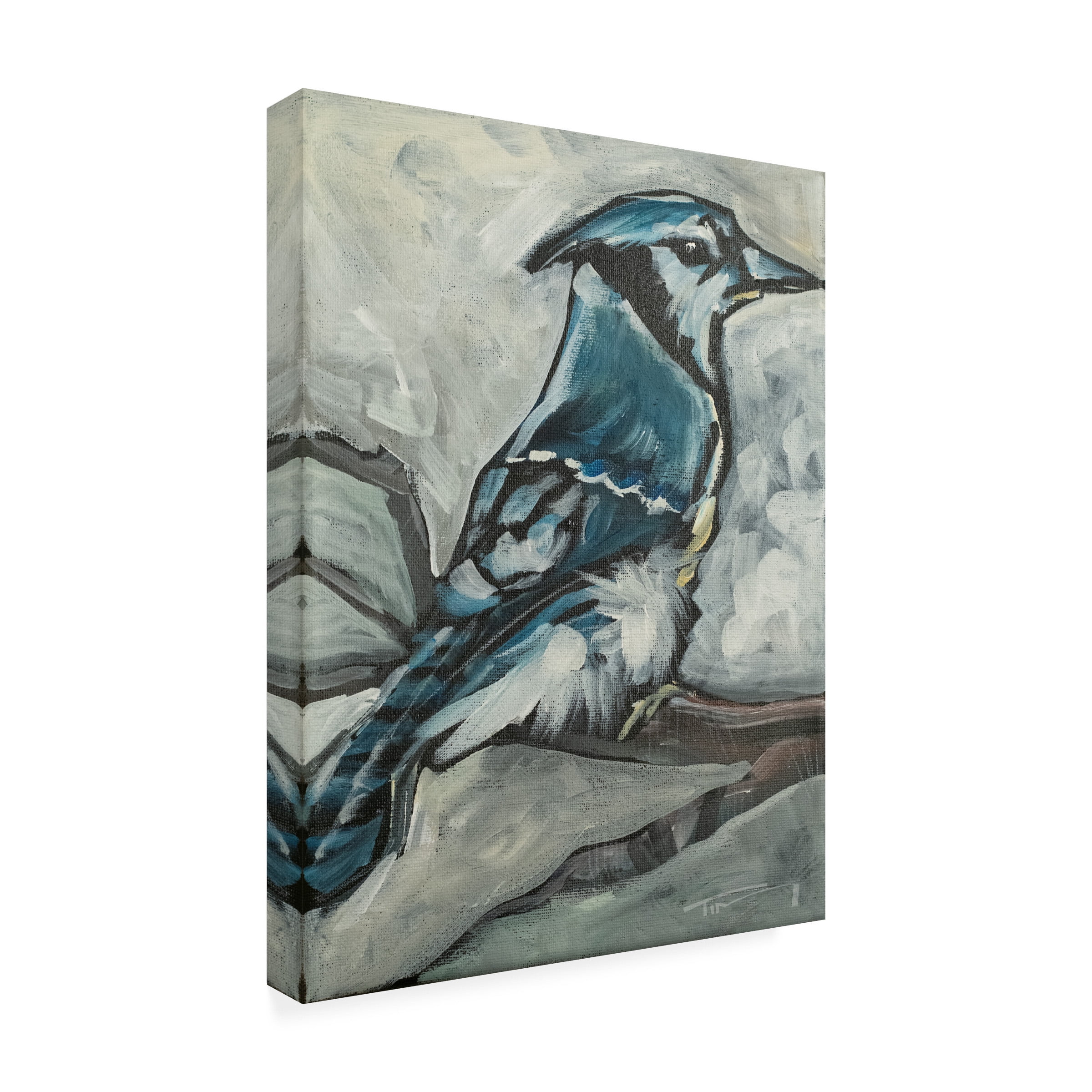 Tim Nyberg 'Blue Jay' Canvas Art