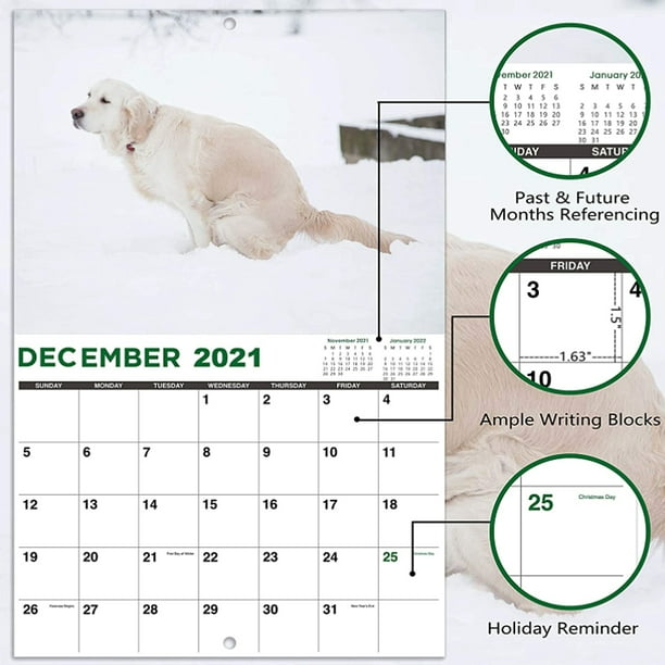 Amdohai 2021 Calendar Caca Drôle Bâillon Cadeau Mur Calendrier