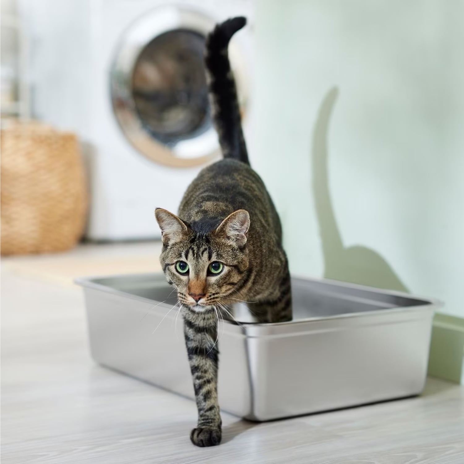 Stainless Aluminum Cat Litter Box Great Litter Box High Sides Does Not Absorb Odor Rust Stain Resistant Large Cats Litter Aluminum Alloy