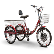 EWheels EW 29 Mobility Scooters Electric Powered Bikes (Model No. EW 29)