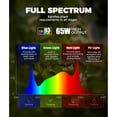 thumbnail image 6 of Barrina T1S Standing Grow Light for Indoor Plants with Timer 65W 660nm High PPFD Tera Series Vertical Full Spectrum Grow Lights Adjustable Height 5FT-5.6FT Foot Switch Non-Glare Design Black, 6 of 10