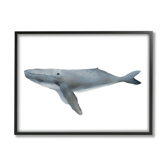 Stupell Industries Marine Whale Casual Sea Life Graphic Art Black Framed Art Print Wall Art, Design by Leah Straatsma