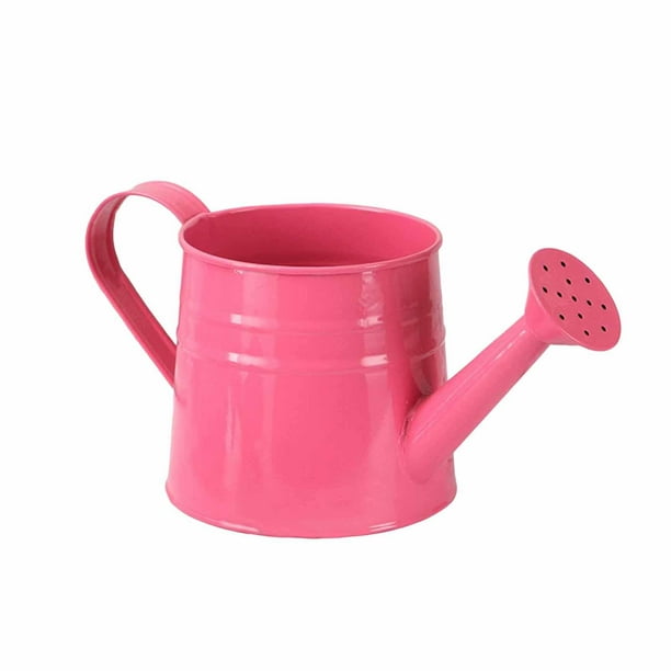 Mini regadera, maceta, cubo de jardín, maceta decorativa multiusos Rosa roja
