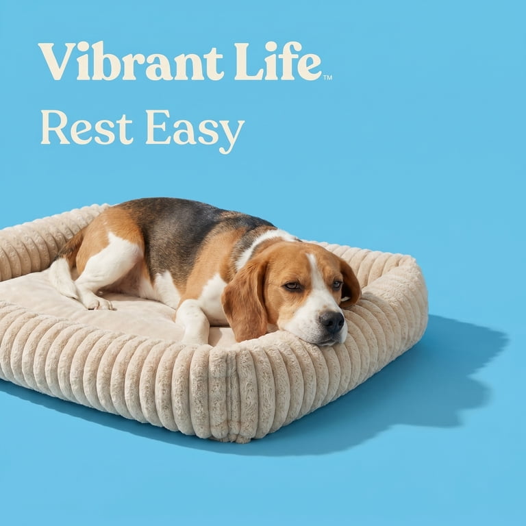 Vibrant Life Medium Thick Cord Pet Bed, Tan photo 4
