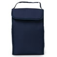 thumbnail image 2 of Assorted Foldable Insulated Lunch Bags for Kids, Lunch Box for School, 2 of 12
