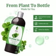 thumbnail image 5 of SVA Brahmi Oil - 8 Fl Oz – 100% Natural Cold Pressed Brahmi Oil - for Face, Skin Care, Hair Care, Scalp Massage & Body Massage – Carrier Oil with Pump, 5 of 7