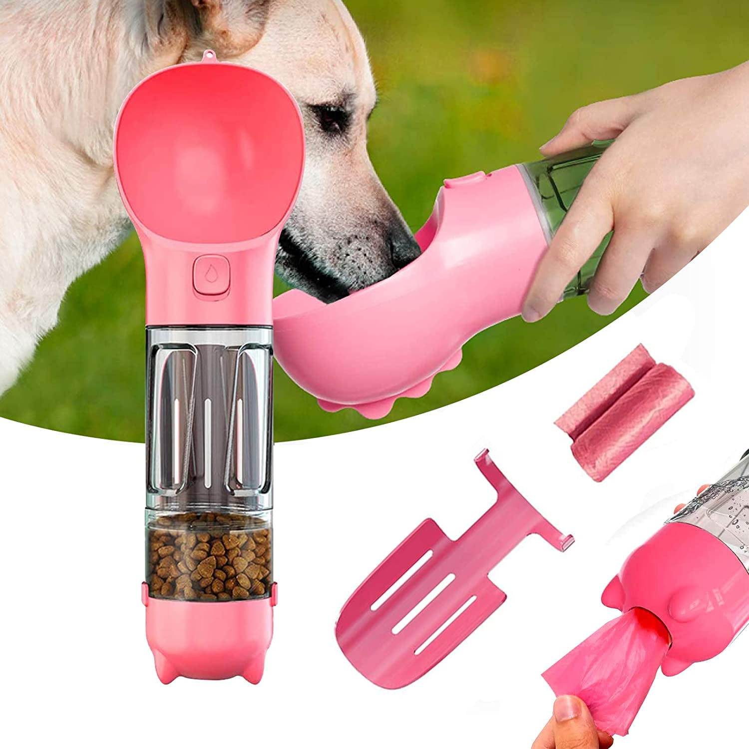 Can Dog Poop Get Into The Water Supply