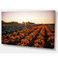 thumbnail image 2 of Beautiful Japanese Flower Farm - Floral Canvas Art Print, 2 of 3