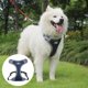 thumbnail image 1 of Sin Arnés de Chaleco de Perro, Chaleco de Pecho Reflectante Ajustable, Arnés de Chaleco Transpirable con Hebilla para Perros Grandes Grandes Azul oscuro XL Salvador Perros chaleco arnés, 1 of 9