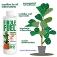 thumbnail image 2 of Fiddle Fuel – The Ultimate Fiddle Leaf Fig Premium Plant Fertilizer Liquid Nutrients Super Easy to Use for Fig Trees and House Plants (Ficus Lyrata) – 8 oz, 2 of 8