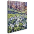 thumbnail image 2 of Trademark Fine Art "Anemones in the Meadow" Canvas Art by David Lloyd Glover, 2 of 3