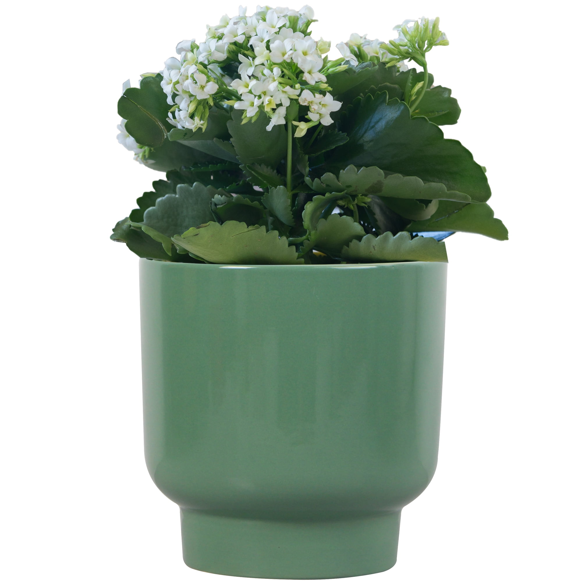 Mainstays Small 6in Round Petra Green Ceramic Planter