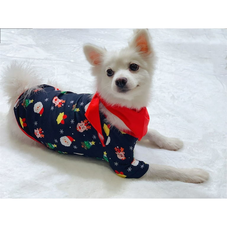 Matching dog on sale and baby pajamas