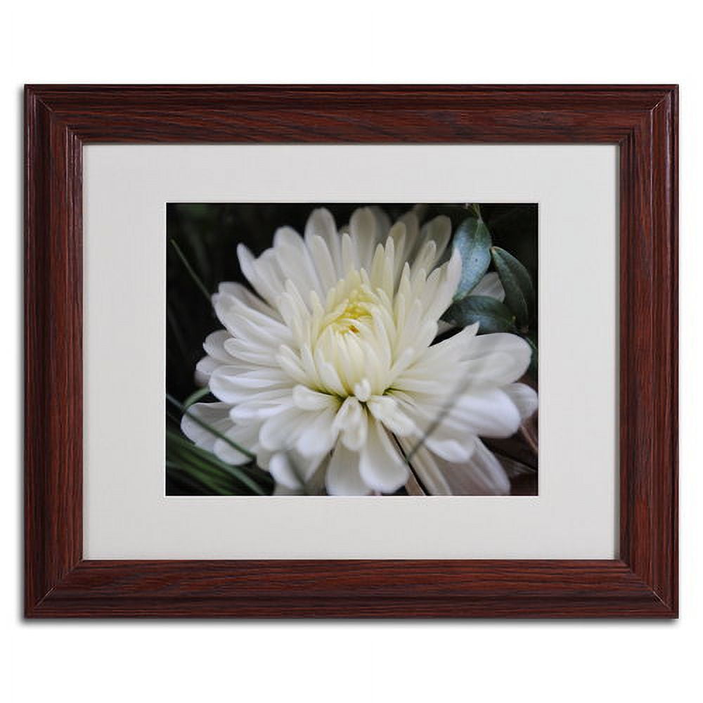 Trademark Fine Art "Vintage Culture" by Monica Fleet, Wood Frame