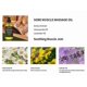 thumbnail image 2 of Pure Arnice Sore Muscle Massage Oil for Massage Therapy - Natural Oil with Lavender and Chamomile Essential Oils - Multipurpose Instant Absorption Ful, 2 of 3