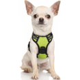 thumbnail image 1 of Rabbitgoo Arnés para Perros, Arnés para Mascotas sin Tirones con 2 Clips para Correa, Chaleco para Perros Acolchado Suave y Ajustable, Chaleco Oxford Reflectante para Mascotas sin asfixia con asa de f, 1 of 4