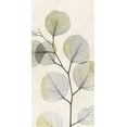 thumbnail image 2 of Koetsier, Albert 14x24 White Modern Wood Framed Museum Art Print Titled - Sunkissed Growth 1, 2 of 4