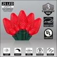 thumbnail image 6 of Set of 25 Red SuperBright LED C7 Christmas Lights 8" Spacing – Green Wire, 6 of 6