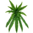thumbnail image 2 of Clearance!UV Resistant Lifelike Artificial Boston Fern, Artificial Ferns for Outdoors, Boston Ferns Artificial Plants, Fake Boston Fern for Porch Window Home Decor, 2 of 7