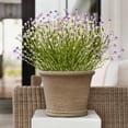 thumbnail image 6 of Wozhuo Artificial Lavender Bouquet with Wheat and Gypsophila for Stylish Home Decor, 6 of 6