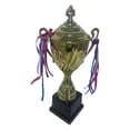 thumbnail image 1 of Premio con copa de metal Regalos de agradecimiento Premios Recompensas Accesorios para fútbol escolar 45cm, 1 of 9
