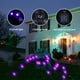 thumbnail image 5 of Halloween Horror Atmosphere Outdoor Indoor Courtyard Family Party Home Decoration Luminous Giant Spider + Giant Triangular Web + Mesh Web＋Little Spider, 5 of 8