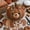 #04N Bear, variant on DIY Animal Pumpkin Sewing Kit Fox Owl Cat Bear, Fall Farmhouse Fabric Craft with Pre-Cut Pieces for Halloween Thanksgiving Decor