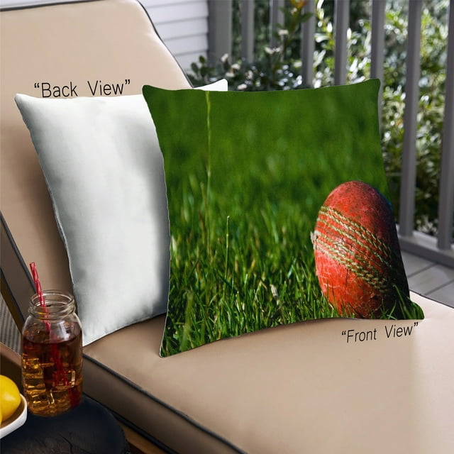 Ahgly Company Insects Cricket Coussin Extérieur, 18 Pouces par 18 Pouces