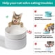 thumbnail image 3 of Juego de cuencos de agua para comida para gatos, cuencos dobles de cerámica para alimentación de gatos con protector a prueba de salpicaduras, platos altos para gatos, 3 of 5