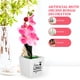 thumbnail image 3 of Bonsái artificial de orquídea polilla para decoración de escritorio, flor artificial en maceta, planta en maceta simulada, 3 of 7