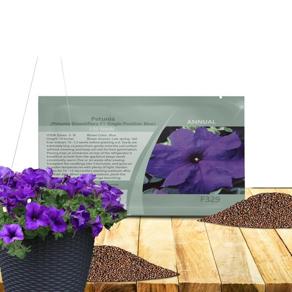Outsidepride Blue Petunia Grandiflora Seeds - 250 Pcs. Annual, Compact & Versatile Flower Seeds for Planting Low Growing Vibrant Blooms for Garden Beds, Hanging Baskets & Container Displays