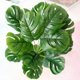thumbnail image 3 of Mini Monstera artificial TUNC Sencillez 50 cm con maceta, 3 of 5