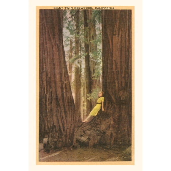Pocket Sized - Found Image Press Journals: The Vintage Journal Girl in Nook of Twin Redwood Trees (Paperback)