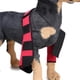 thumbnail image 5 of Pet Front Leg Compression Hock Wraps Knee Joint Support para perros Red M Rojo - M Yuyangstore Soporte de la rodilla del perro, 5 of 8