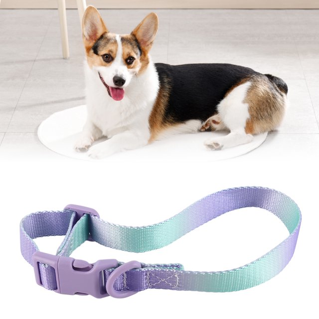 Collar de perro elegante collar de perro colorido para caminar al aire libre ANGGREK Otros