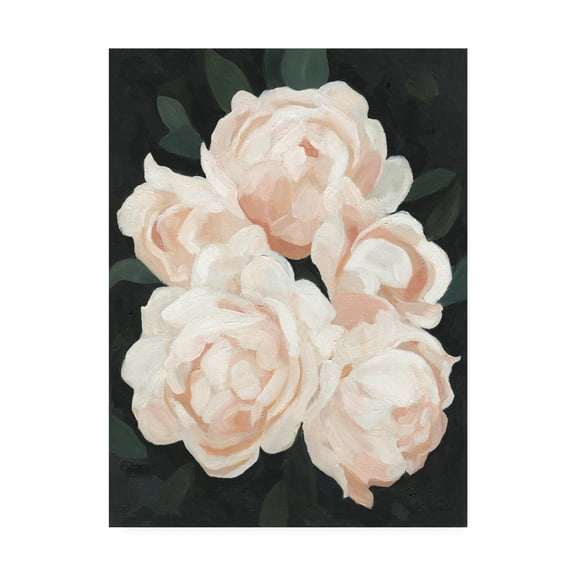 Trademark Fine Art 'Nighttime Flora II' Canvas Art by Emma Scarvey