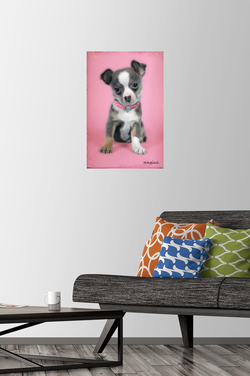 Keith Kimberlin - Puppy on Pink Background Wall Poster with Push Pins, 14.725" x 22.375"