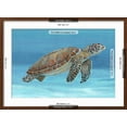 thumbnail image 5 of Art.com Ocean Sea Turtle I Art Print by Tim O'toole, Brown Frame Wall Art, 29" x 21", 5 of 5
