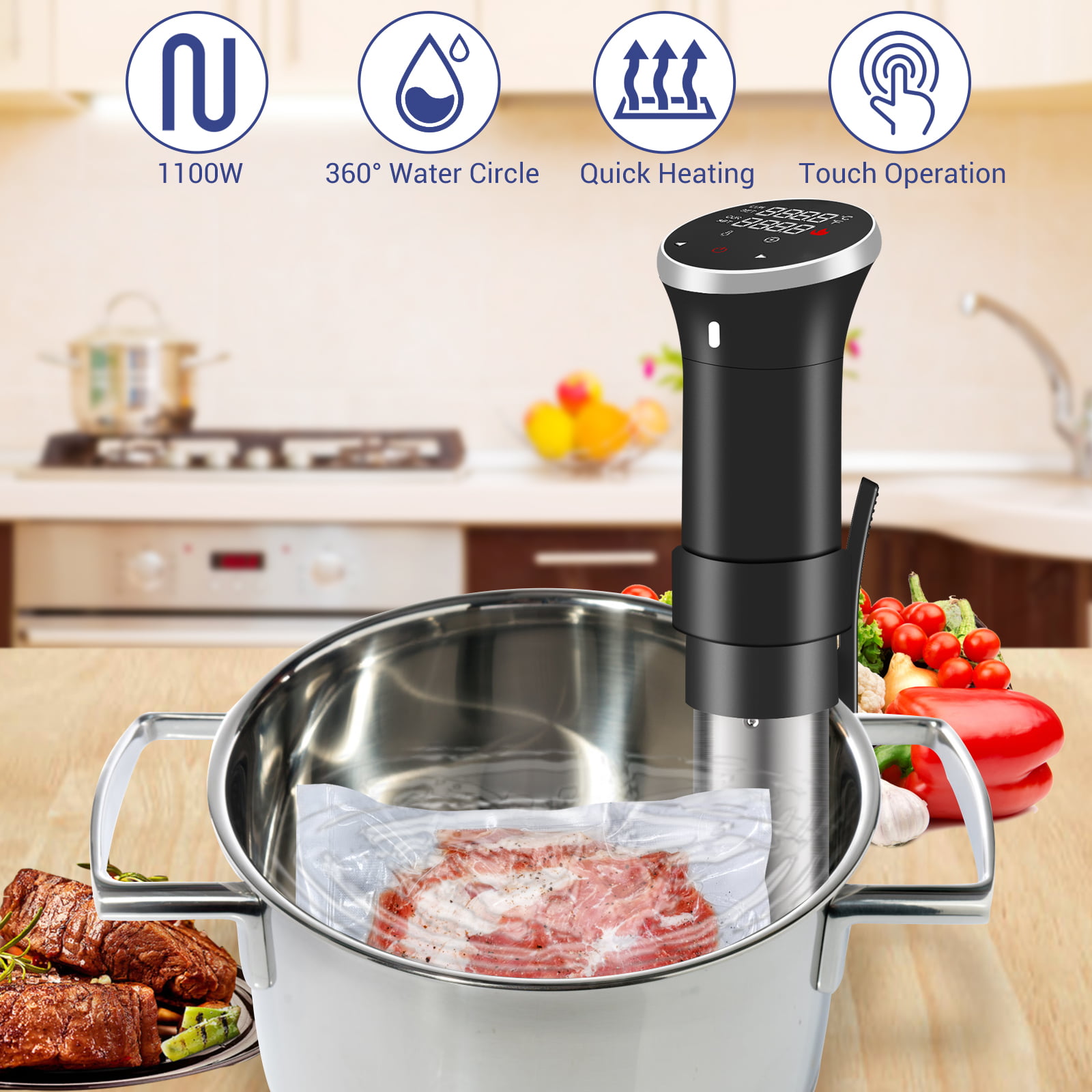 Vegetables & Wine Dash Chef Series Stainless Steel Sous Vide Immersion Circulator with LED Digital Timer Display Seafood Temperature Control with Chill Function for Steak Poultry 