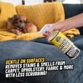 thumbnail image 3 of Removedor de manchas para mascotas Chemical Guys 946 ml neutralizador de olores, 3 of 6
