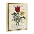 thumbnail image 2 of Stupell Industries Shabby Chic Antique Anatomy of Plants Gold Floating Frame Canvas Art, 17 x 21, by Susan Arnot, 2 of 7