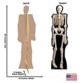 thumbnail image 2 of Skeleton, 2 of 3