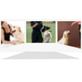 thumbnail image 3 of Dog Leash Set Elastic Polyester Pet Walking Leash Dog Traction Rope with Arm Bag, 3 of 6