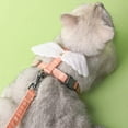 thumbnail image 4 of CIYISON Cat Harness and Leash for Walking Escape Proof Adjustable Cat Leash No Pull Cat Leash for Walking Cartoon Wing, 4 of 17