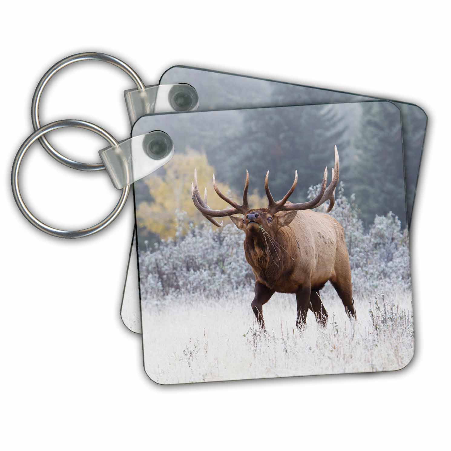3D Rose Rocky Mountain Bull Elk Pot Holder 8 x 8 