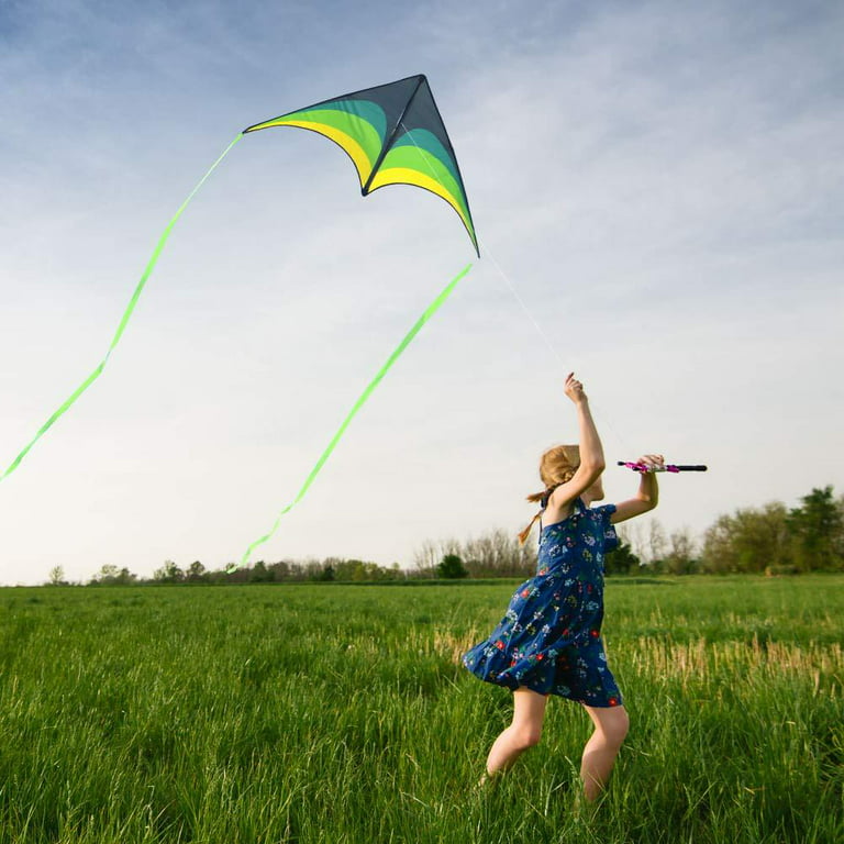 Mint's Colorful Life Kite for Kids & Adults, Easy to Fly for Beginner,  Polyester Fabric 