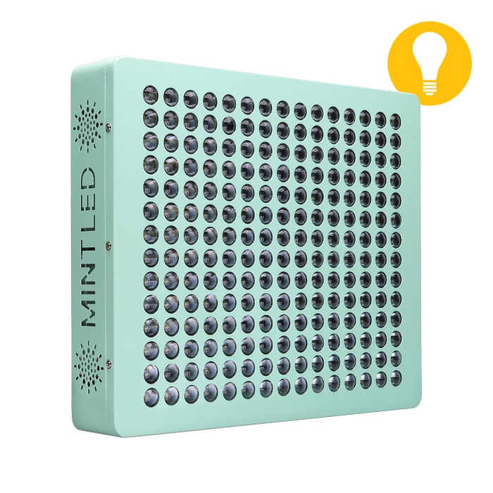 プレゼント対象商品 カーペット 最新モデルが入荷 Www Vinademar It