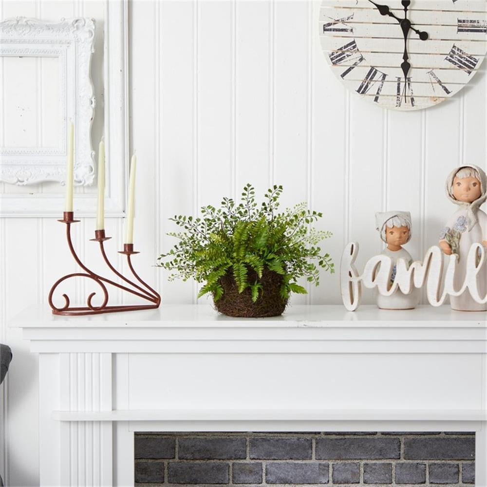 Pemberly Row Mixed Fern with Twig and Moss Basket in Green/Brown