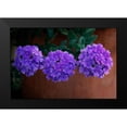 thumbnail image 2 of Geyman, Vitaly 24x17 Black Modern Framed Museum Art Print Titled - Tri Floral Bouquet, 2 of 5